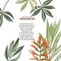 Exotic flowers and leaves decoration. Modern realistic design wih jungle leaves template for the hotel, beauty salon, spa,