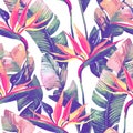 Exotic flowers, leaves in retro vanilla colors on pastel background. Royalty Free Stock Photo