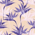 Exotic flowers in monochrome colors, transparent on pastel background Royalty Free Stock Photo