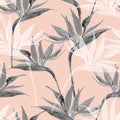 Exotic flowers in monochrome colors, transparent on pastel background Royalty Free Stock Photo