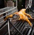 Exotic food - crocodile on grill