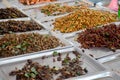 Exotic food fried Insect