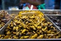 Fried worm, exotic food. Baby silk worm cooked, expensive food in Thailand.