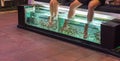 Foot massage in aquarium by fish in Thailand Royalty Free Stock Photo