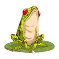 Exotic Frog, isolated vector illustration. Calm tropic froglet. A toad, sitting on a round lily pad Royalty Free Stock Photo