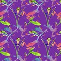 Exotic frog red-eyed pattern in a watercolor style. Royalty Free Stock Photo