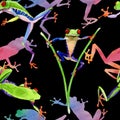 Exotic frog red-eyed pattern in a watercolor style. Royalty Free Stock Photo