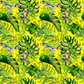 Exotic frog red-eyed pattern in a watercolor style. Royalty Free Stock Photo