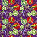 Exotic frog red-eyed pattern in a watercolor style. Royalty Free Stock Photo