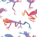 Exotic frog red-eyed pattern in a watercolor style. Royalty Free Stock Photo