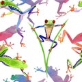 Exotic frog red-eyed pattern in a watercolor style. Royalty Free Stock Photo