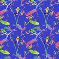 Exotic frog red-eyed pattern in a watercolor style. Royalty Free Stock Photo