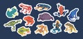 Exotic Frog Sticker Set. Collection Of Vibrant Patches Featuring Various Species Of Unique And Colorful Frogs