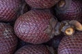 Exotic fruit of America: Aguaje or Moriche, palm fruit, buriti nuts, mauritia flexuosa, Maurity palm Royalty Free Stock Photo