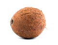 Exotic fruit coconut. Close fresh, organic, brown coconut, on a white background. A tasty whole coconut. Royalty Free Stock Photo