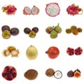 Exotic fruit Collection Royalty Free Stock Photo