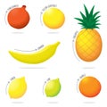 Exotic Fruit Illustration Set