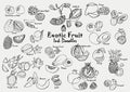 Exotic fruit ink drawing doodle vector icon set. Hand-drawn tropical fruit line art collection