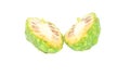 Exotic Fruit - Noni on white