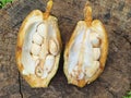 Exotic fruit of Pachira aquatica Aubl. cut in half on a tree trunk Royalty Free Stock Photo