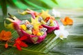 Exotic fruit salad Royalty Free Stock Photo