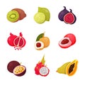 Cartoon exotic fruit set sliced Royalty Free Stock Photo
