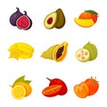 Exotic fruit set Royalty Free Stock Photo