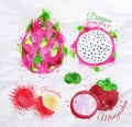 Exotic fruit watercolor dragon fruit, rambutan,