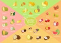 Exotic Fruits Collection Color Vector Illustration Royalty Free Stock Photo