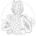 Exotic fruits and flowers. Pineapple, Papaya, Mangosteen.Coloring book antistress for children and adults