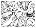Hand Drawn Background of Apricote and Chayote Fruits