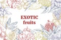 Exotic fruits, landscape frame