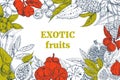 Exotic fruits, landscape frame