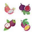 Exotic fruits set. Vector watercolor illustration of passion fruit, mangosteen, fig and dragon fruit Royalty Free Stock Photo