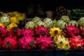 Exotic fruits stall city market. Generate Ai Royalty Free Stock Photo