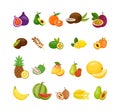 Exotic fruits. Summer vitamin food. Tropical mango and jackfruit. Flat pineapple. Isolated carambola or banana. Vegan