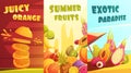 Exotic Fruits Vertical Banners Cartoon Poster