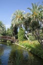 Exotic garden corner with large pond and wooden bridge crossing it, a water fountain and lush green palm trees