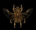 Exotic golden beetle isolated on black background.