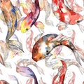 Exotic goldfish wild fish pattern in a watercolor style.