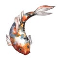 Exotic goldfish wild fish in a watercolor style isolated.