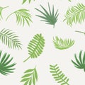 Exotic green branch seamless white background
