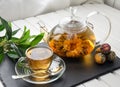 Exotic green tea with flowers in glass teapot Royalty Free Stock Photo