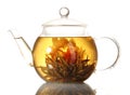 Exotic green tea with flowers in glass teapot Royalty Free Stock Photo