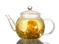 Exotic green tea with flowers in glass teapot Royalty Free Stock Photo