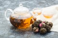 Exotic green tea with flowers in glass teapot Royalty Free Stock Photo