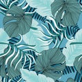 Exotic hawaiian plant seamless pattern. Leaf wallpaper. Tropical pattern, palm leaves