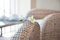 Exotic hotel terrace chairs, closeup shot, shallow focus Royalty Free Stock Photo