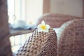 Exotic hotel terrace chairs, closeup shot, shallow focus on frangipani flower Royalty Free Stock Photo