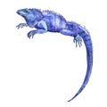 Exotic iguana in a watercolor style isolated.